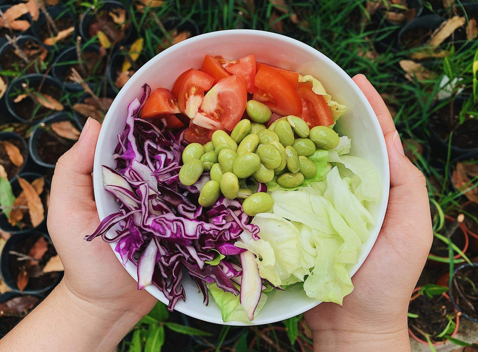 37 Famous & Everyday Quotes on Eating Healthy